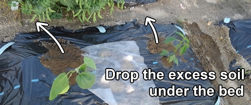 Any excess soil from planting seedlings should be dropped beneath the bed