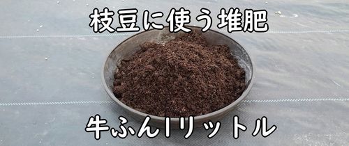 枝豆の土作りに使う牛糞堆肥