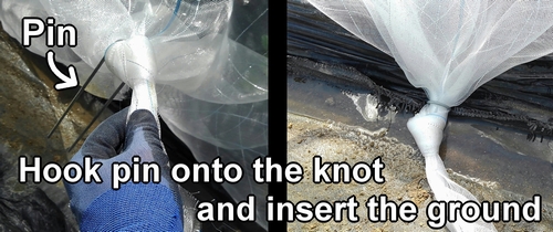 Hook pin onto the knot and insert it into the ground