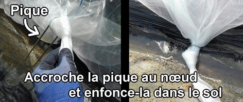 Accroche la pique au nœud et enfonce-la dans le sol