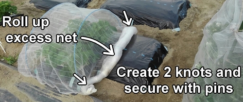 Create two knots in the insect netting and secure it with pins