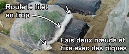 Fais deux nœuds dans le filet anti-insectes et fixe-le avec des piques