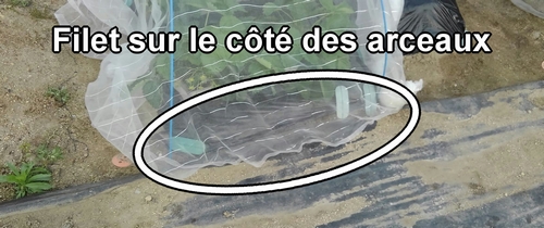 Le filet anti-insectes sur le côté des arceaux souples