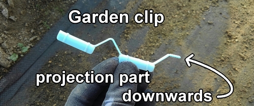 Garden clip
