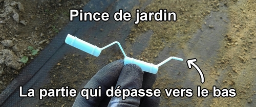 Pince de jardin