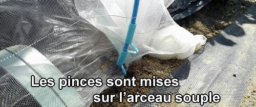 Les pinces de jardin sont mises sur l’arceau souple