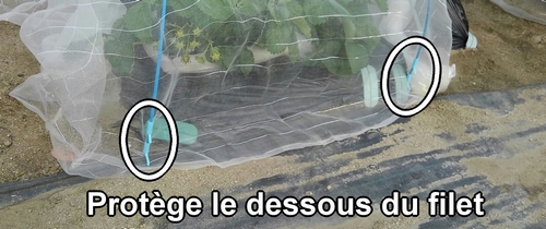 Empêche les insectes d’entrer par-dessous le filet anti-insectes