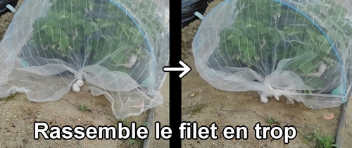 Rassemble le filet anti-insectes en trop