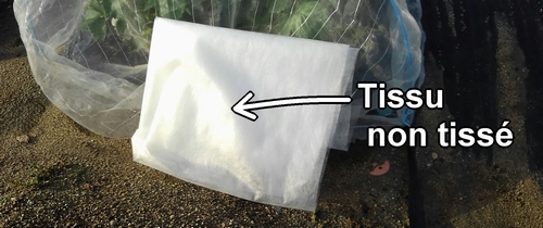 Tissu non tissé