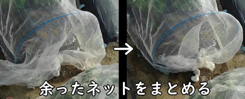 余った防虫ネットをまとめる