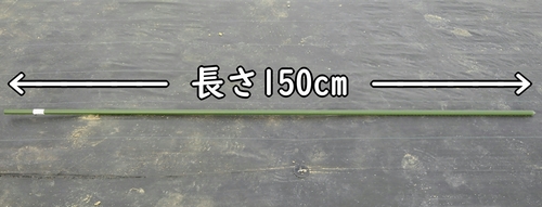 長さ150cm