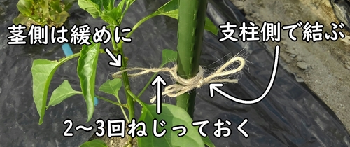 麻紐の結び方