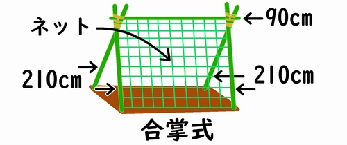 小玉スイカの空中栽培で使う合掌式