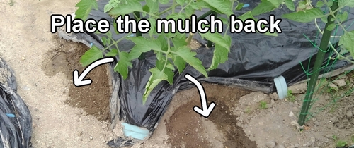 Place the mulch back