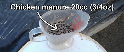 Use 20cc (3/4oz) of chicken manure for fertilizing icebox watermelons