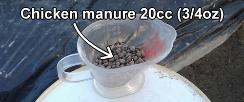 Chicken manure used for fertilizing eggplants and peppers