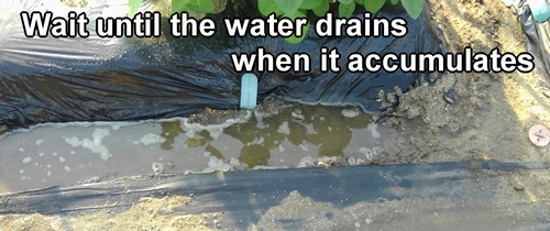 Wait until the water drains when it accumulates