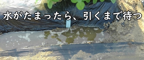 水がたまったら、引くまで待つ