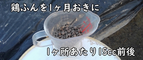 追肥には鶏糞を使う