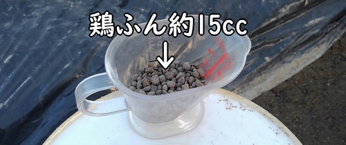 ナスの追肥に使う鶏糞