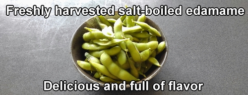 Salt-boiled edamame bean plants
