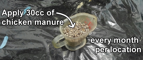 We use organic chicken manure for additional fertilizing