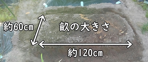 畝は60cm×120cmの大きさ