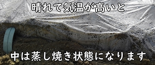 畝を密閉すると、消毒効果が高まる