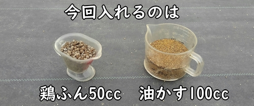 今回は、鶏糞50ccと油かす100ccを入れる