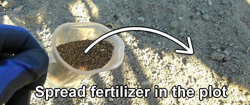 Spread fertilizer in the plot