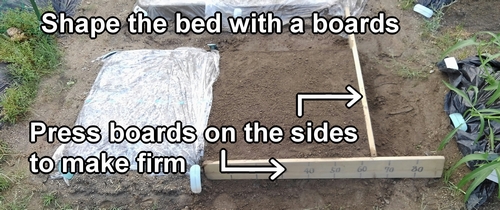 Shape the daikon radish bed with a boards