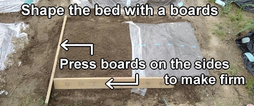 Shape the cilantro and radish bed with a boards