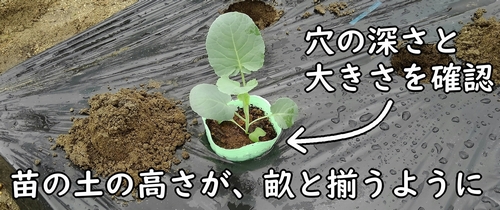 穴の深さと大きさを確認