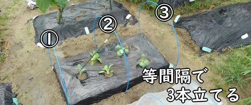 等間隔で3本立てる