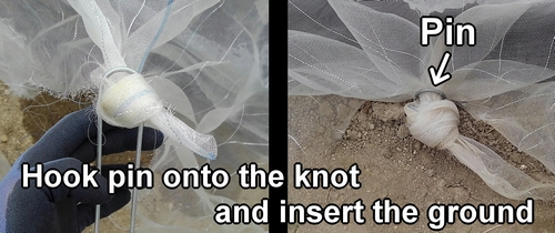 Hook pin onto the knot and insert the ground