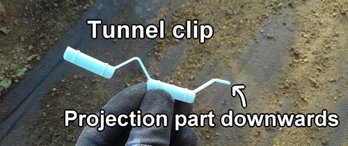 Tunnel clip
