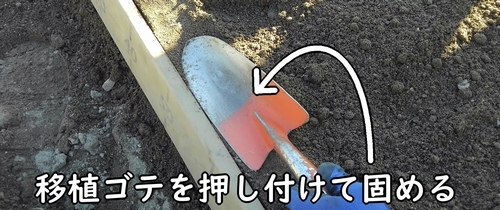 畝の縁は移植ゴテで固める