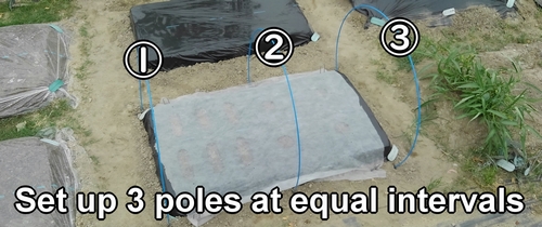 Set up 3 stakes at equal intervals