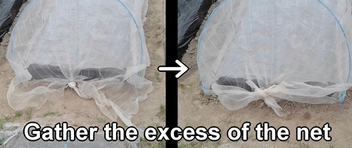 Gather the excess of the insect net
