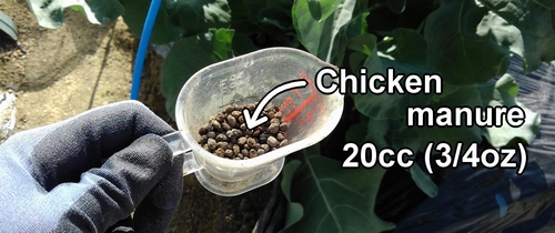 The 20cc (3/4oz) of chicken manure used for additional-fertilizing