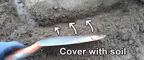 Cover the chicken manure with soil