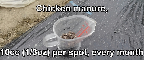 10cc (1/3oz) of chicken manure
