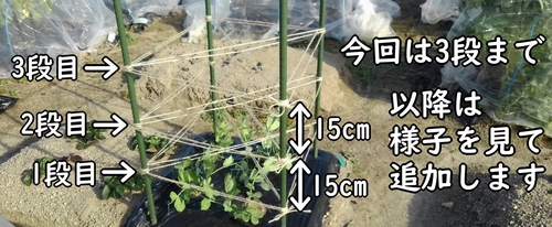 麻紐は3段目まで設置