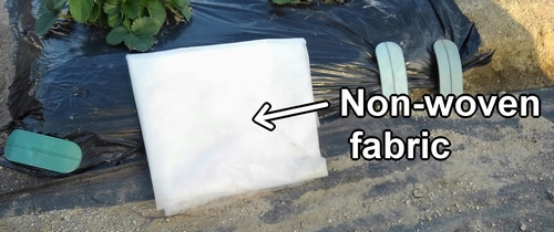 Non-woven fabric