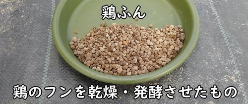 鶏糞