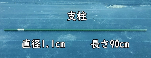 ミニトマト（プチトマト）の横に立てる支柱