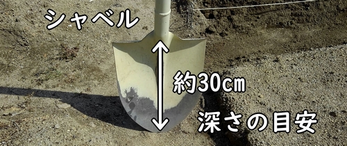 シャベルの刃30cmが深さの目安