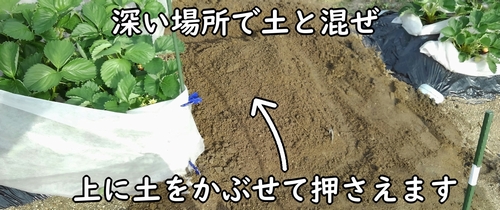 土を戻し終わったところ