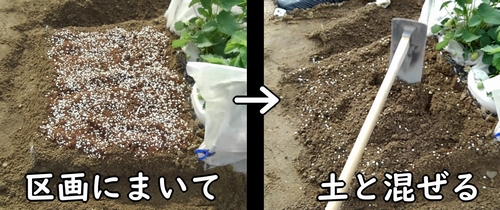 肥料を土と混ぜる