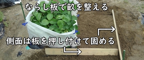 移植ゴテとならし板を使って、畝を整える